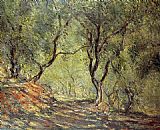 Claude Monet The Olive Tree Wood in the Moreno Garden painting